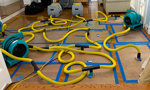 Professional Basement Flood Cleanup technician working in Antrim, NH